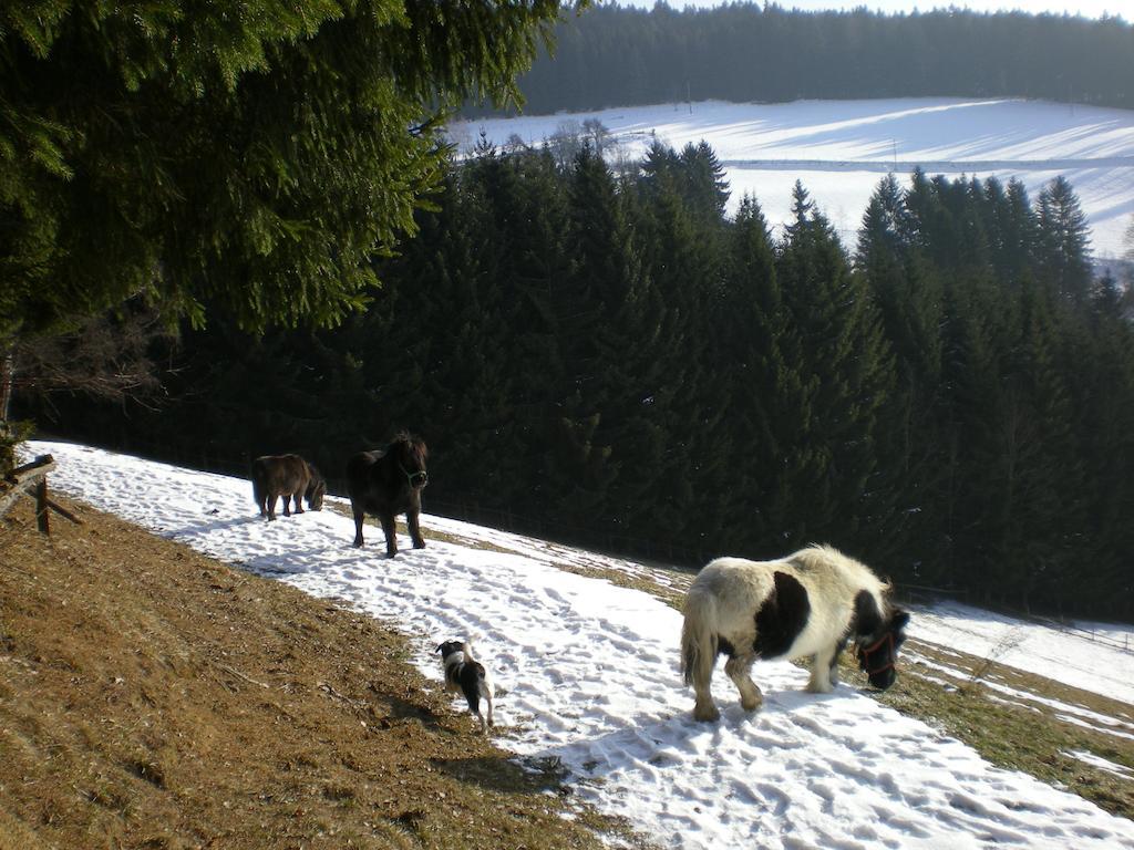 Schlintl-Hof Liebenfels Exterior foto