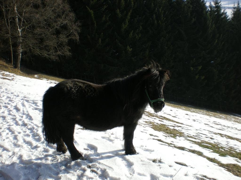 Schlintl-Hof Liebenfels Exterior foto
