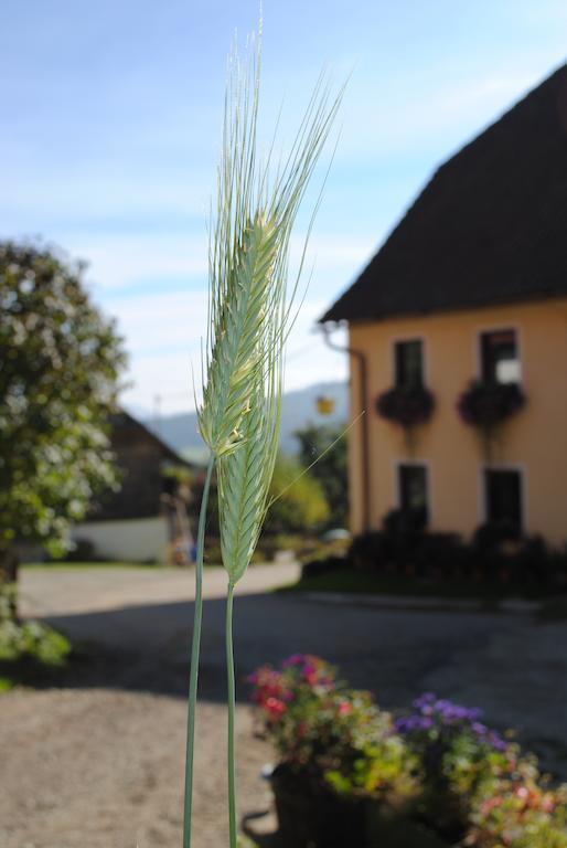 Schlintl-Hof Liebenfels Exterior foto