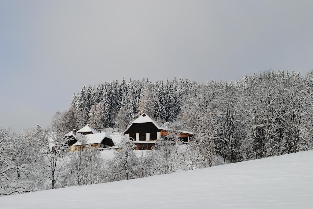 Schlintl-Hof Liebenfels Exterior foto