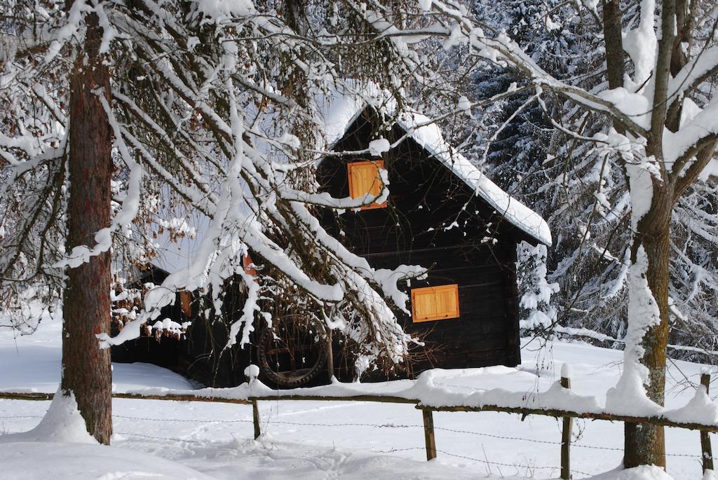 Schlintl-Hof Liebenfels Exterior foto